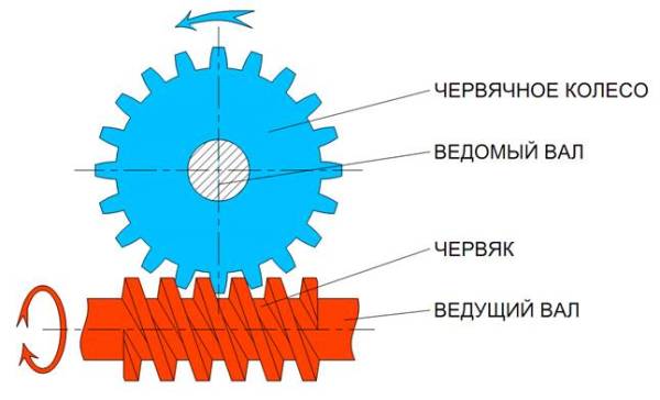 Червячное колесо.jpg